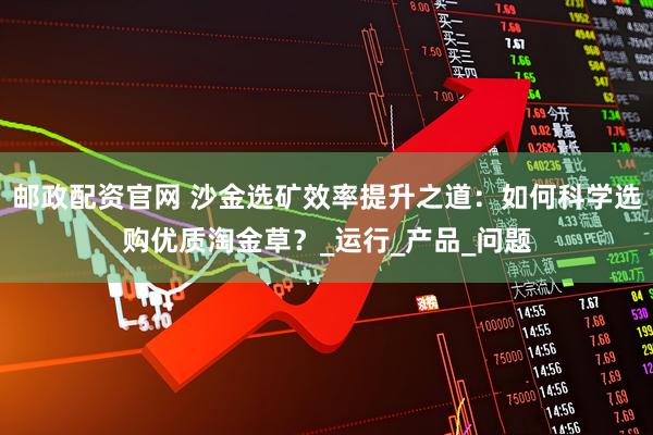 邮政配资官网 沙金选矿效率提升之道：如何科学选购优质淘金草？_运行_产品_问题