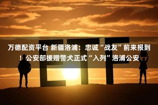 万德配资平台 新疆洛浦：忠诚“战友”前来报到！公安部援赠警犬正式“入列”洛浦公安